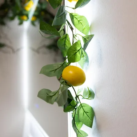 L'escapade Vegetale - Centre דירה סומור